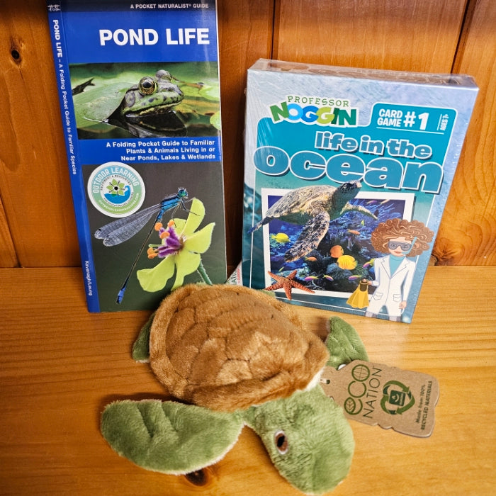 Pond and Ocean Life (Bundle)