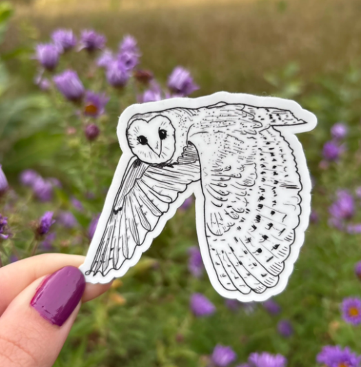 Native Ontario Species Sticker - Barn Owl