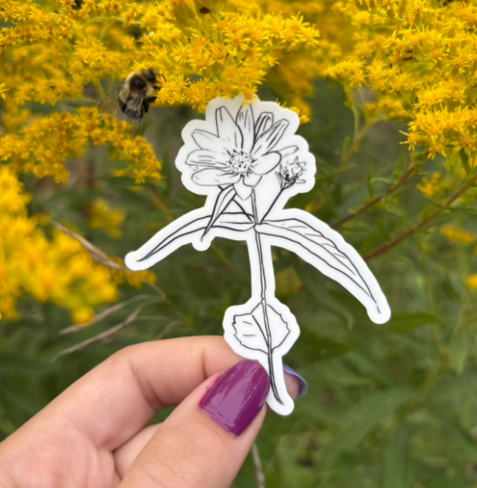 Native Ontario Species Sticker - Woodland Sunflower