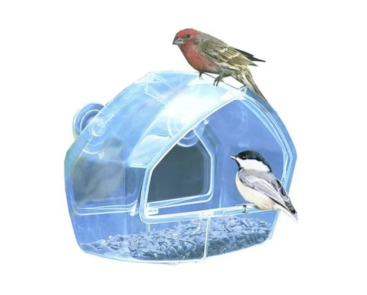 Wild Bird Window Feeder