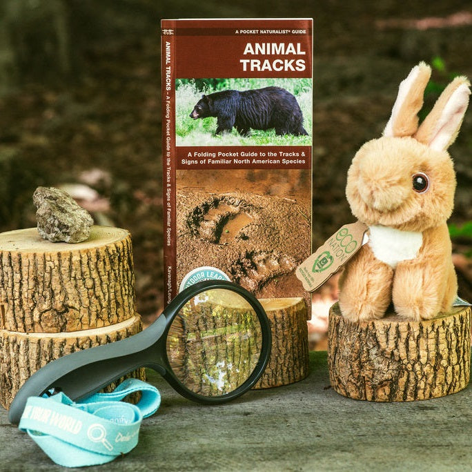 Animal Tracks Nature Guide