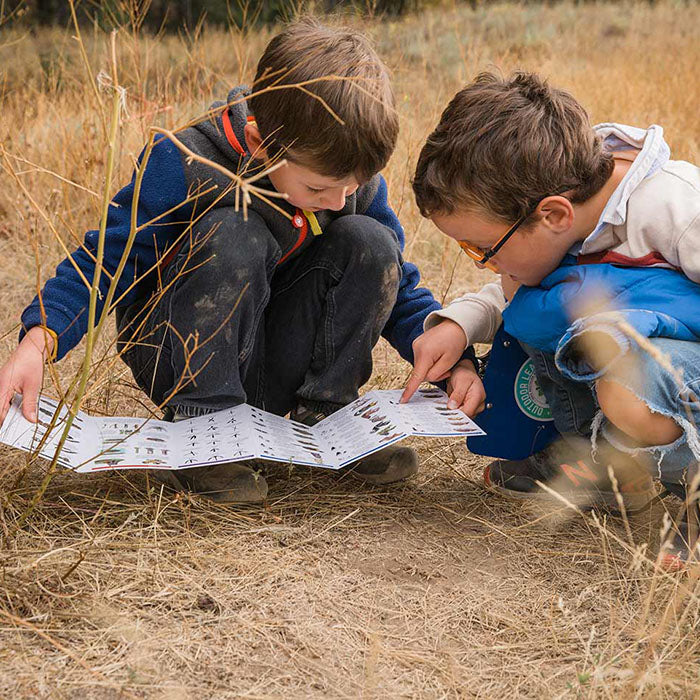 Bugs & Slugs Nature Guide