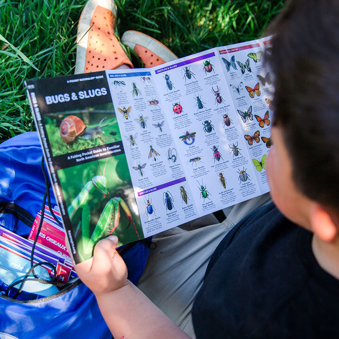 Entomology: Study of insects (Bundle)