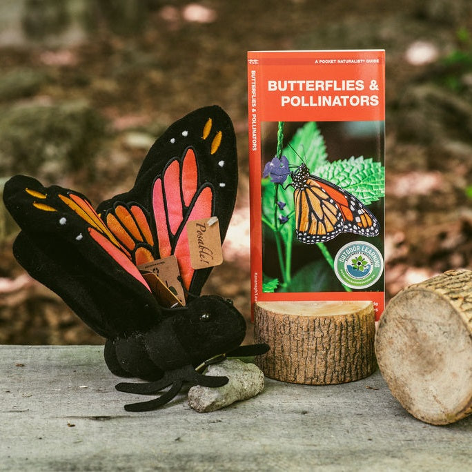 Butterflies & Pollinators Nature Guide