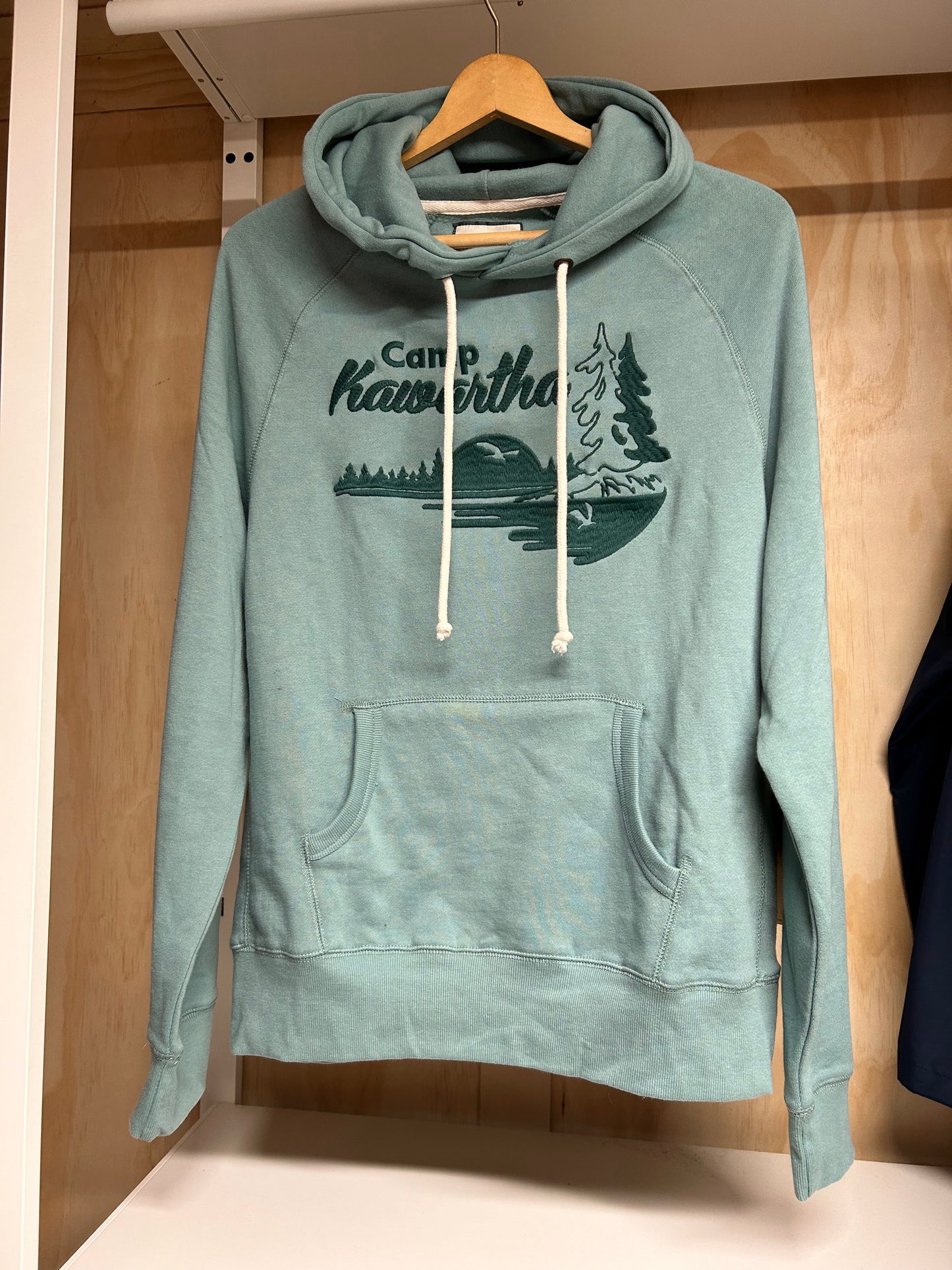 sage hoodie with embroidered logo