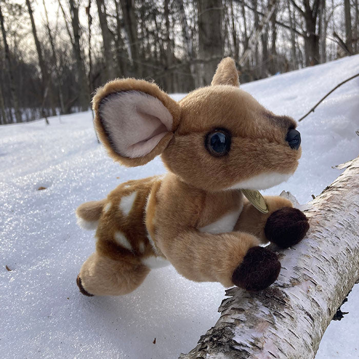 Aurora® - Miyoni® - 8" Fawn