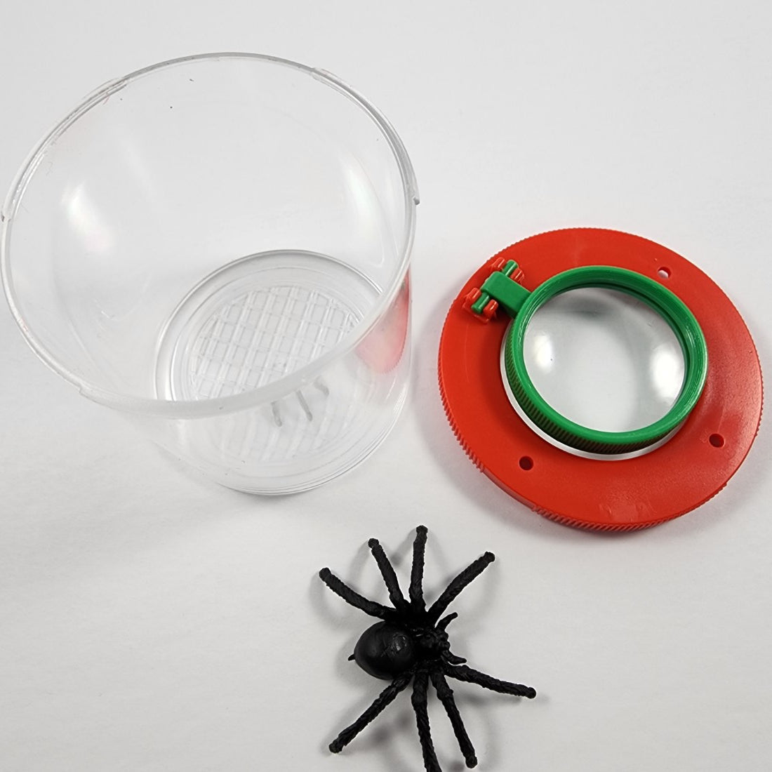 Magnifying Insect Viewer