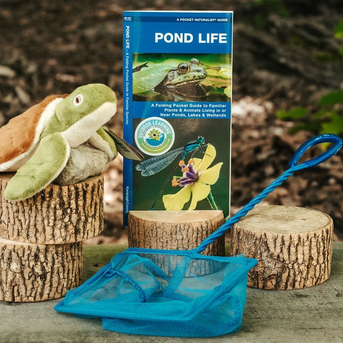 Pond Life Nature Guide