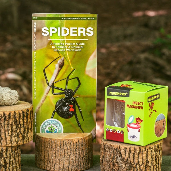 Spiders Nature Guide