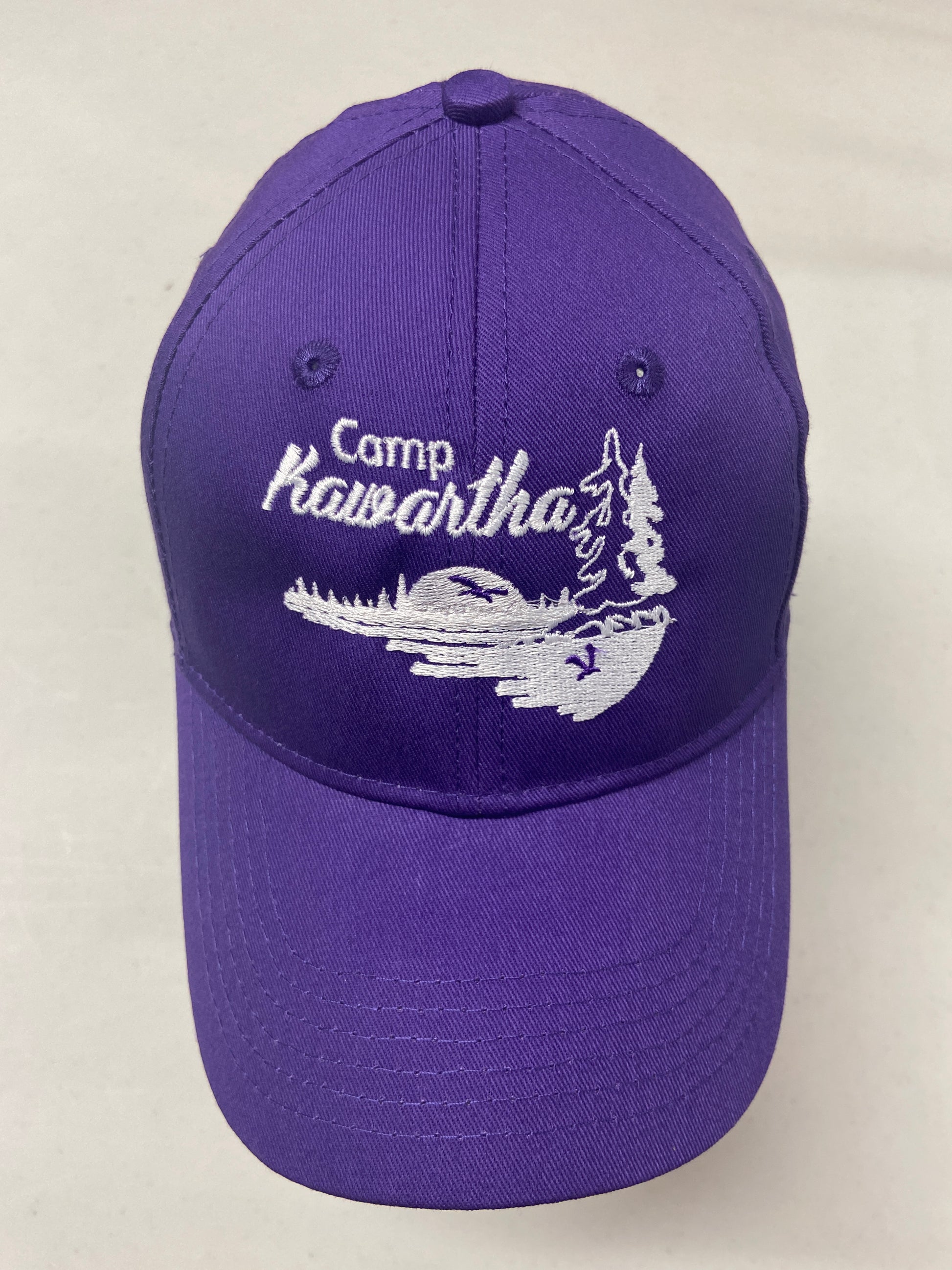 Youth-sized structured ball cap in purple.