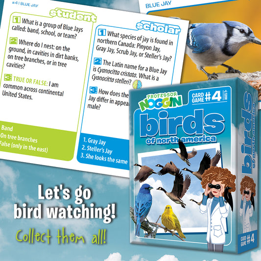Professor Noggin - Birds of North America
