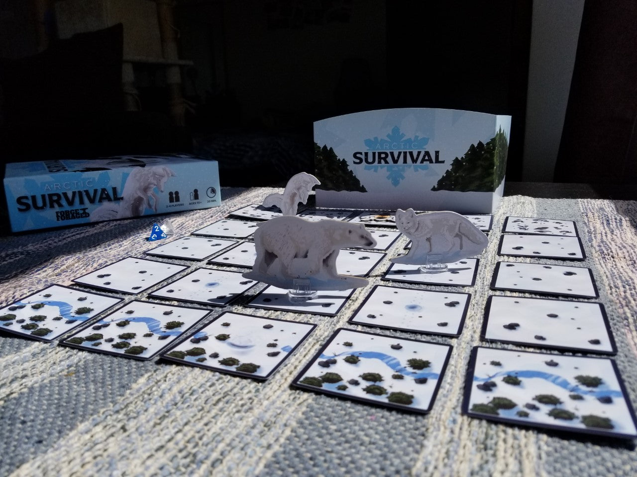 Arctic Survival - Educational Board Game