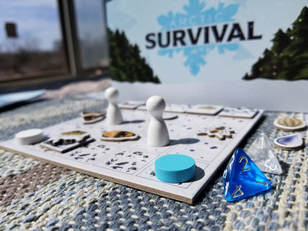 Arctic Survival - Educational Board Game