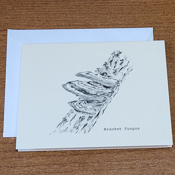 Nature Note Cards