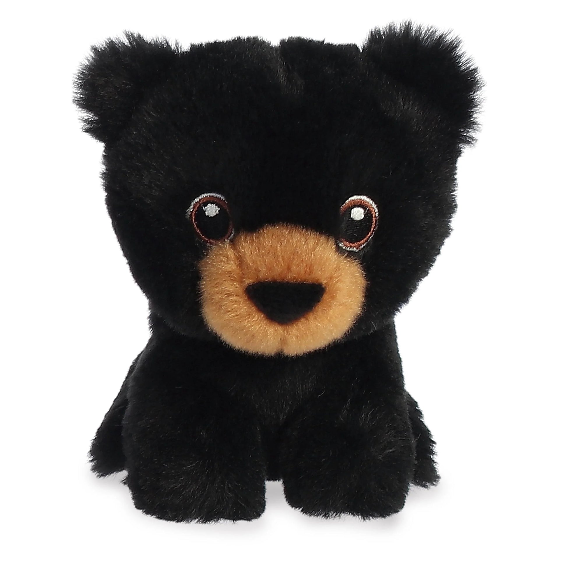 Aurora Eco Nation 5 Mini Black Bear