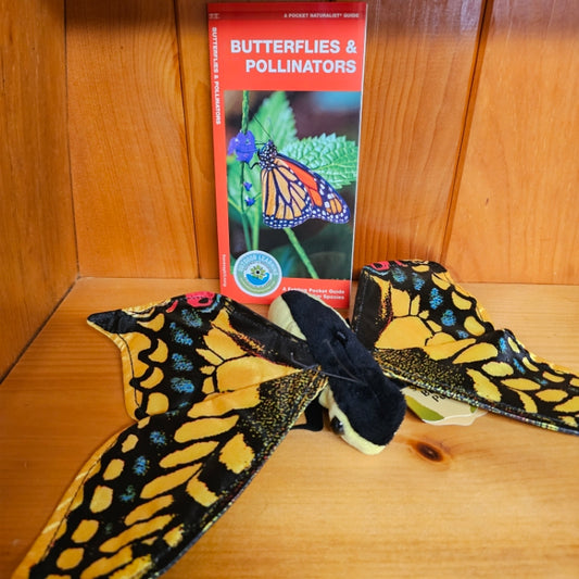 Butterflies and Pollinators (Bundle)
