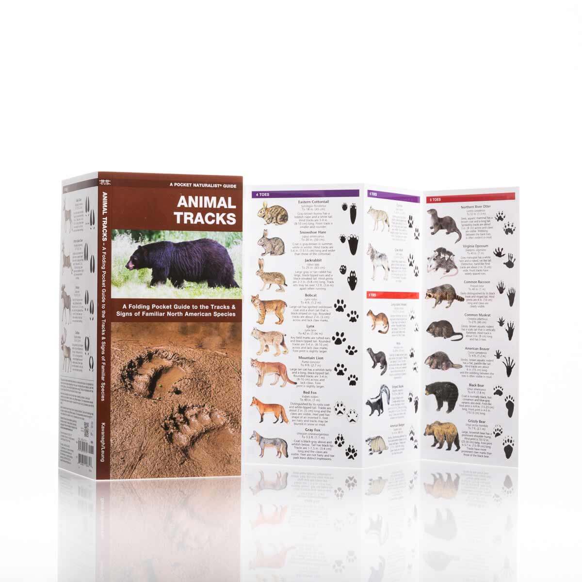 Animal Tracks Nature Guide
