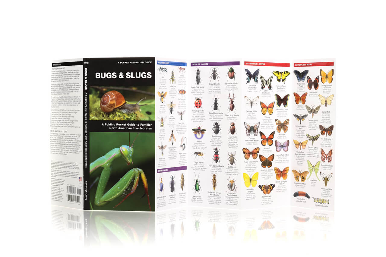 Bugs & Slugs Nature Guide