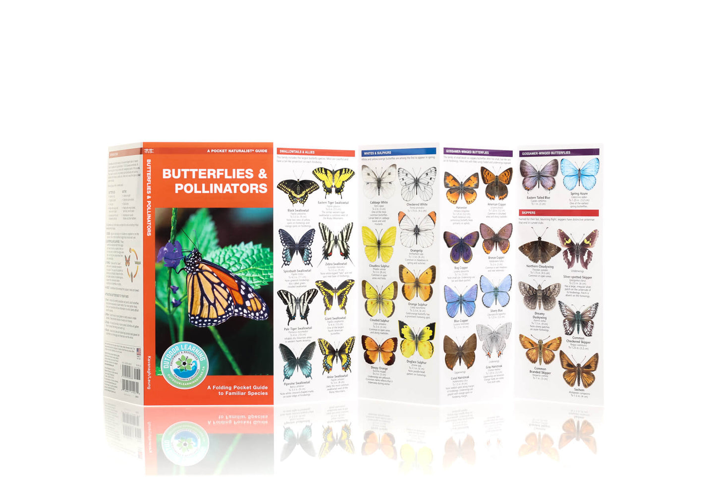 Butterflies & Pollinators Nature Guide