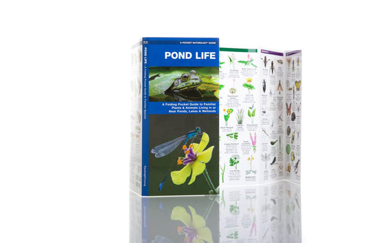 Pond Life Nature Guide