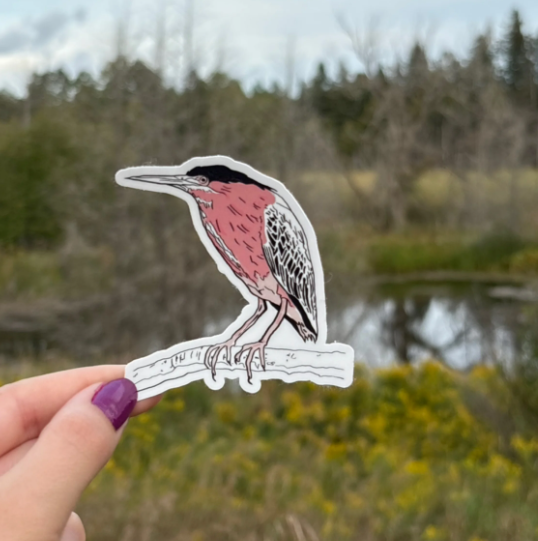 Native Ontario Species Sticker - Great Heron