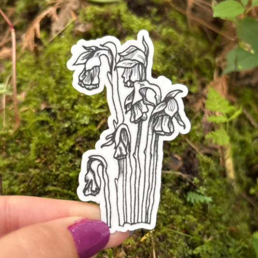 Native Ontario Species Sticker - Ghost Pipe