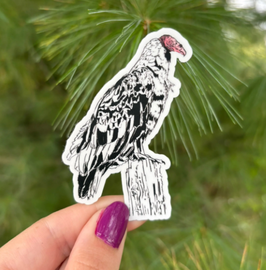 Native Ontario Species Sticker - Turkey Vulture