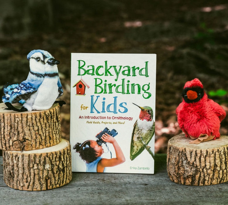 Backyard Birding For Kids