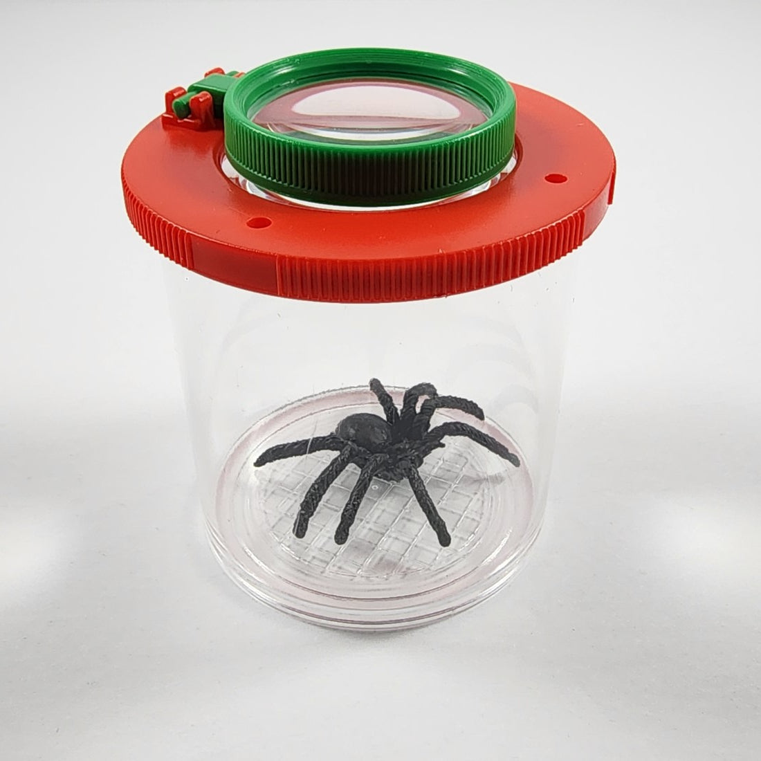 Magnifying Insect Cage Magnifying Insect Viewer – Camp Kawartha's Gift Store