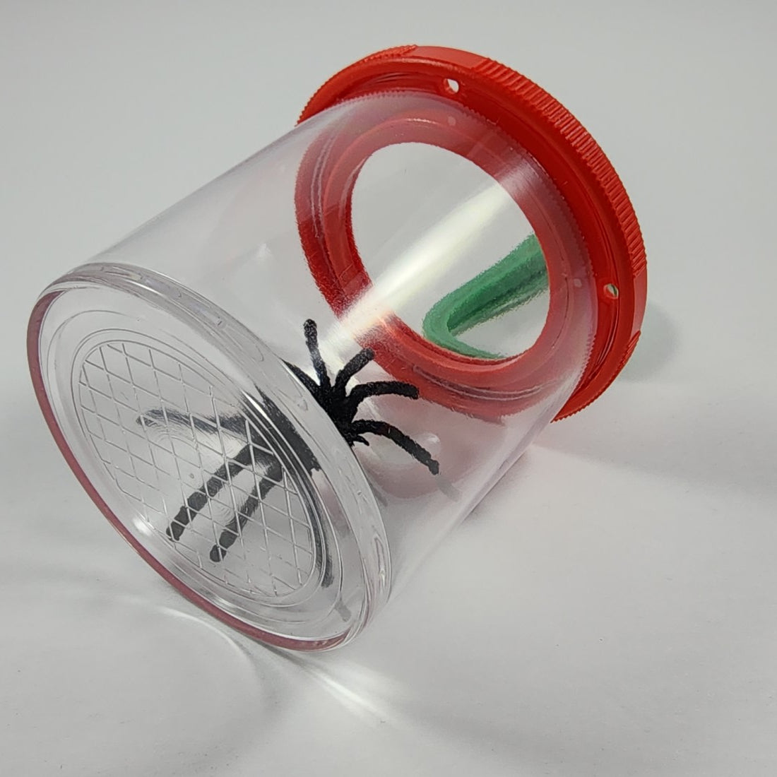 Magnifying Insect Viewer