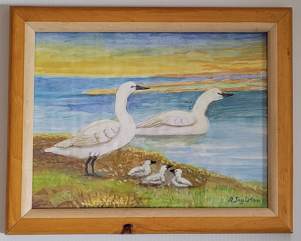 Framed Painting - Swans