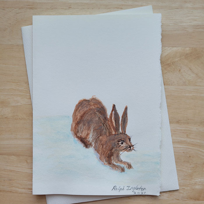 Hand Painted 5x7 Card - European Hare