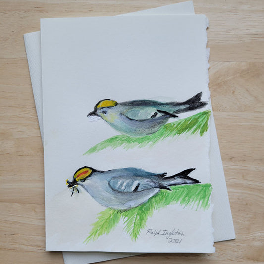 Hand Painted 5x7 Card - Golden Crowned Kinglets