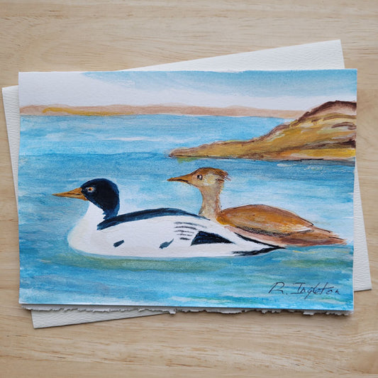 Hand Painted 5x7 Card - Mergansers