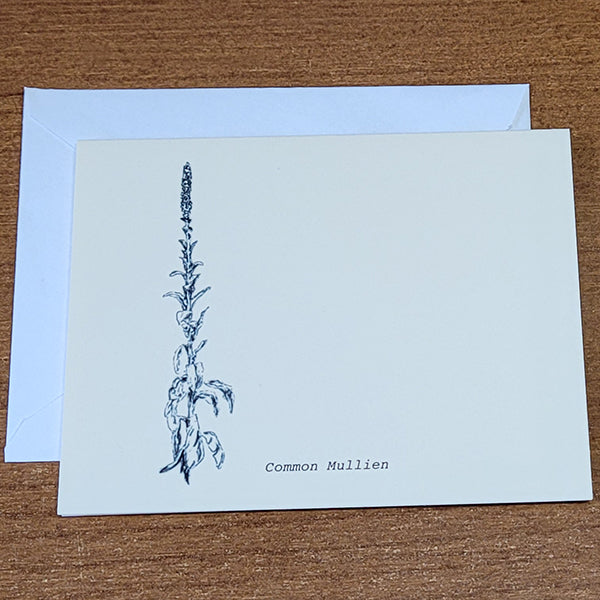 Nature Note Cards