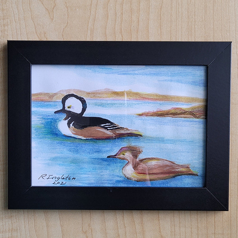 Framed 5"x7" Painting - Merganzers